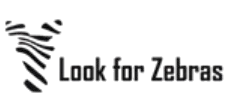 LFZ-removebg-preview